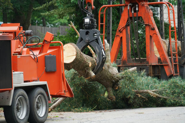 Lawn Drainage Solutions in Crocker, WA